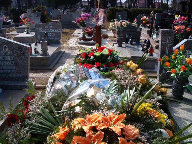 Witold Kubicki 1968 Głubczyce - Grobonet - Wyszukiwarka osób pochowanych