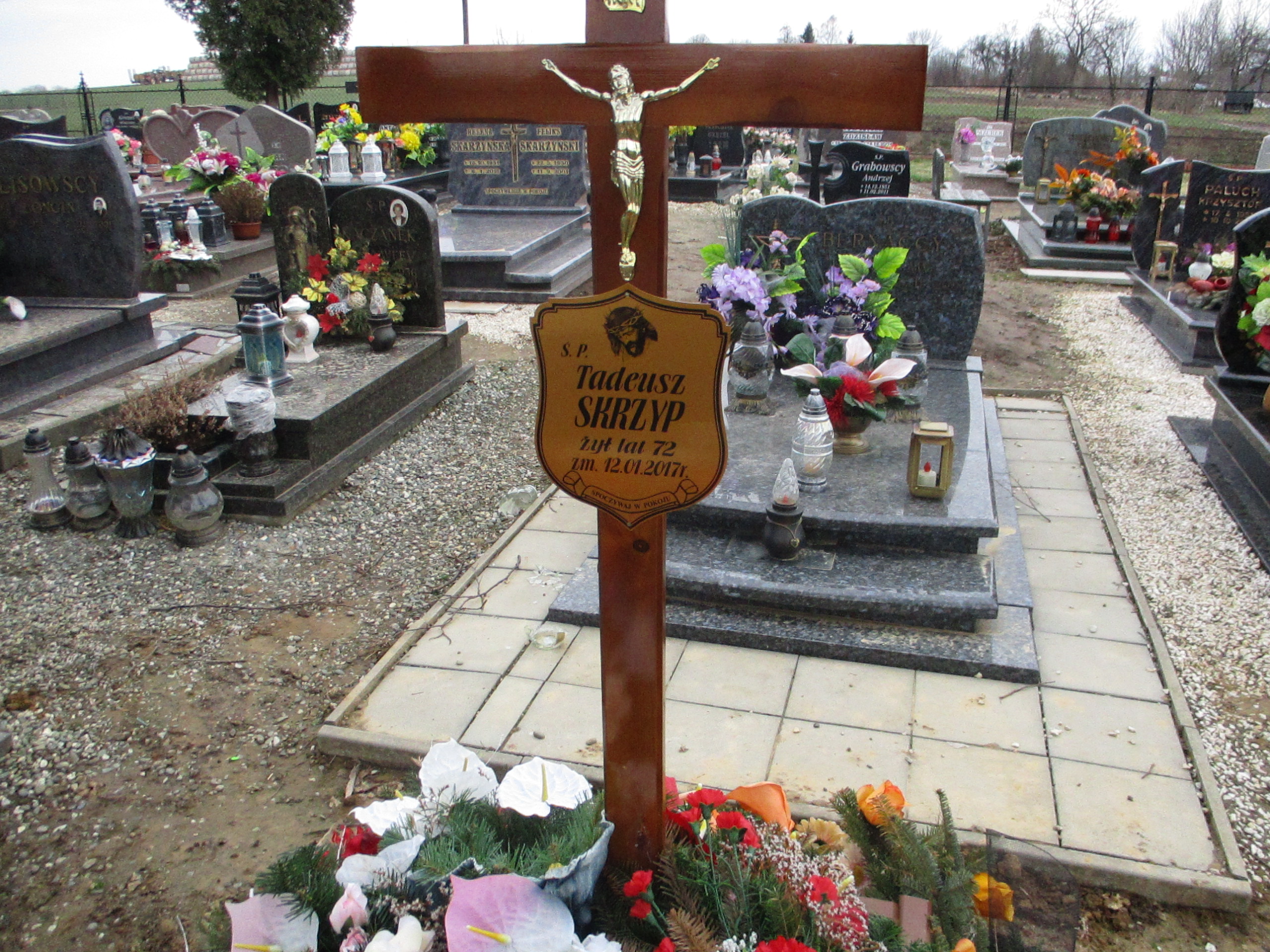 Tadeusz Skrzyp 1944 Głubczyce - Grobonet - Wyszukiwarka osób pochowanych