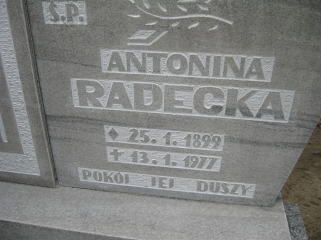 Antonina Radecka Głubczyce - Grobonet - Wyszukiwarka osób pochowanych
