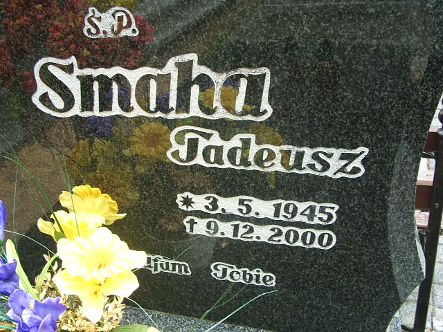 Grób Tadeusz Smaha